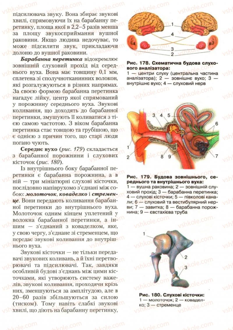 Страница 213 | Підручник Біологія 9 клас С.В. Страшко, Л.Г. Горяна, В.Г. Білик, С.А. Ігнатенко 2009