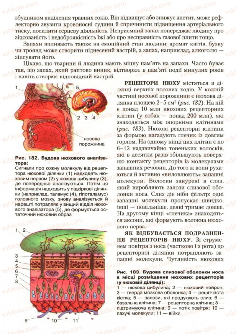 Страница 218 | Підручник Біологія 9 клас С.В. Страшко, Л.Г. Горяна, В.Г. Білик, С.А. Ігнатенко 2009