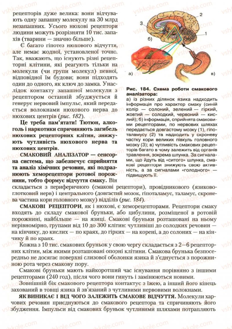 Страница 219 | Підручник Біологія 9 клас С.В. Страшко, Л.Г. Горяна, В.Г. Білик, С.А. Ігнатенко 2009