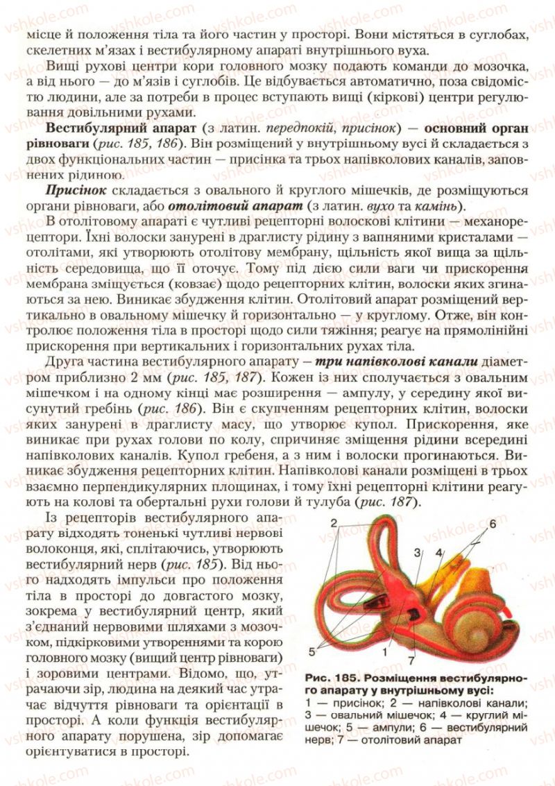 Страница 221 | Підручник Біологія 9 клас С.В. Страшко, Л.Г. Горяна, В.Г. Білик, С.А. Ігнатенко 2009