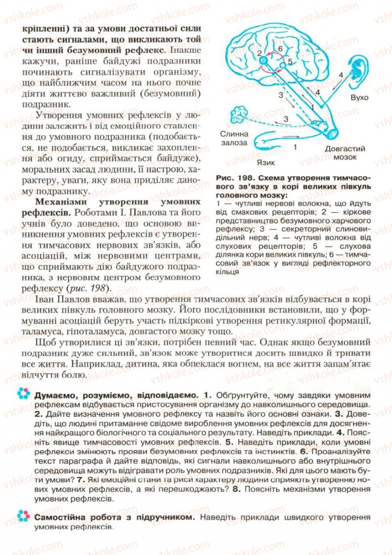 Страница 233 | Підручник Біологія 9 клас С.В. Страшко, Л.Г. Горяна, В.Г. Білик, С.А. Ігнатенко 2009