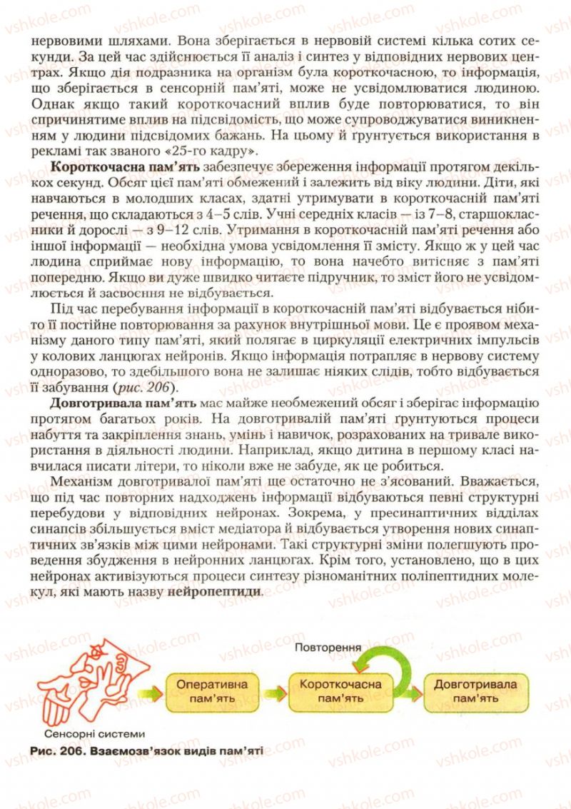 Страница 243 | Підручник Біологія 9 клас С.В. Страшко, Л.Г. Горяна, В.Г. Білик, С.А. Ігнатенко 2009