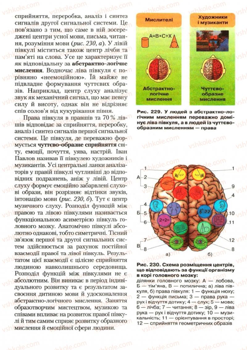 Страница 275 | Підручник Біологія 9 клас С.В. Страшко, Л.Г. Горяна, В.Г. Білик, С.А. Ігнатенко 2009