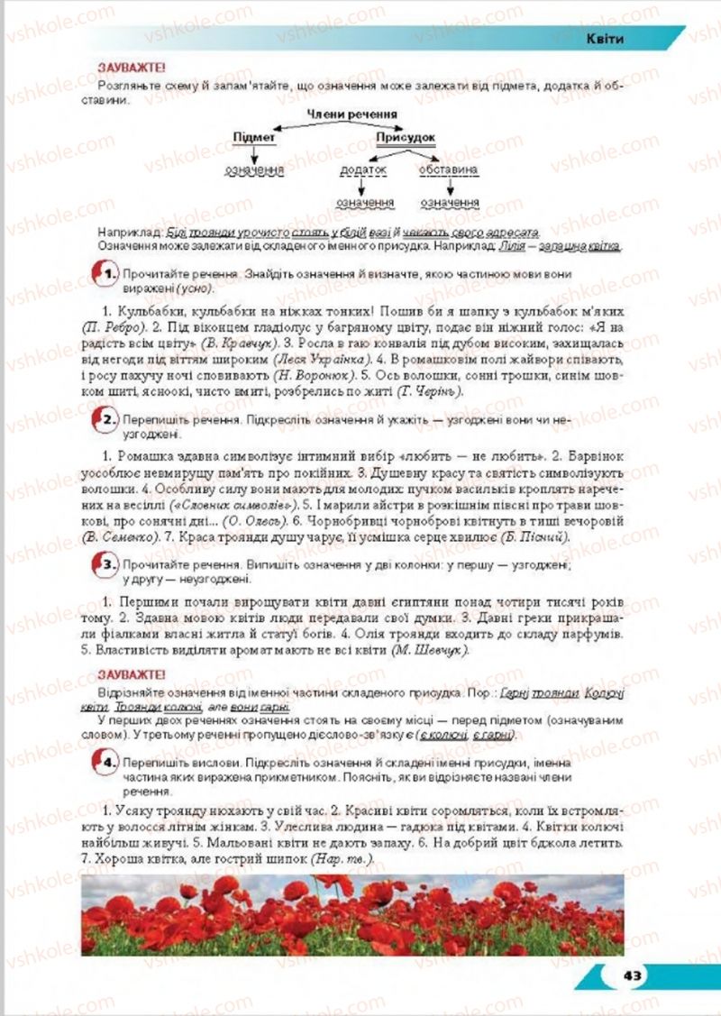 Страница 43 | Підручник Українська мова 8 клас О.М. Авраменко, Т.В. Борисюк, О.М. Почтаренко 2016