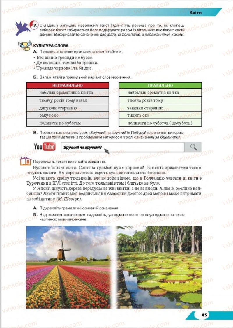 Страница 45 | Підручник Українська мова 8 клас О.М. Авраменко, Т.В. Борисюк, О.М. Почтаренко 2016