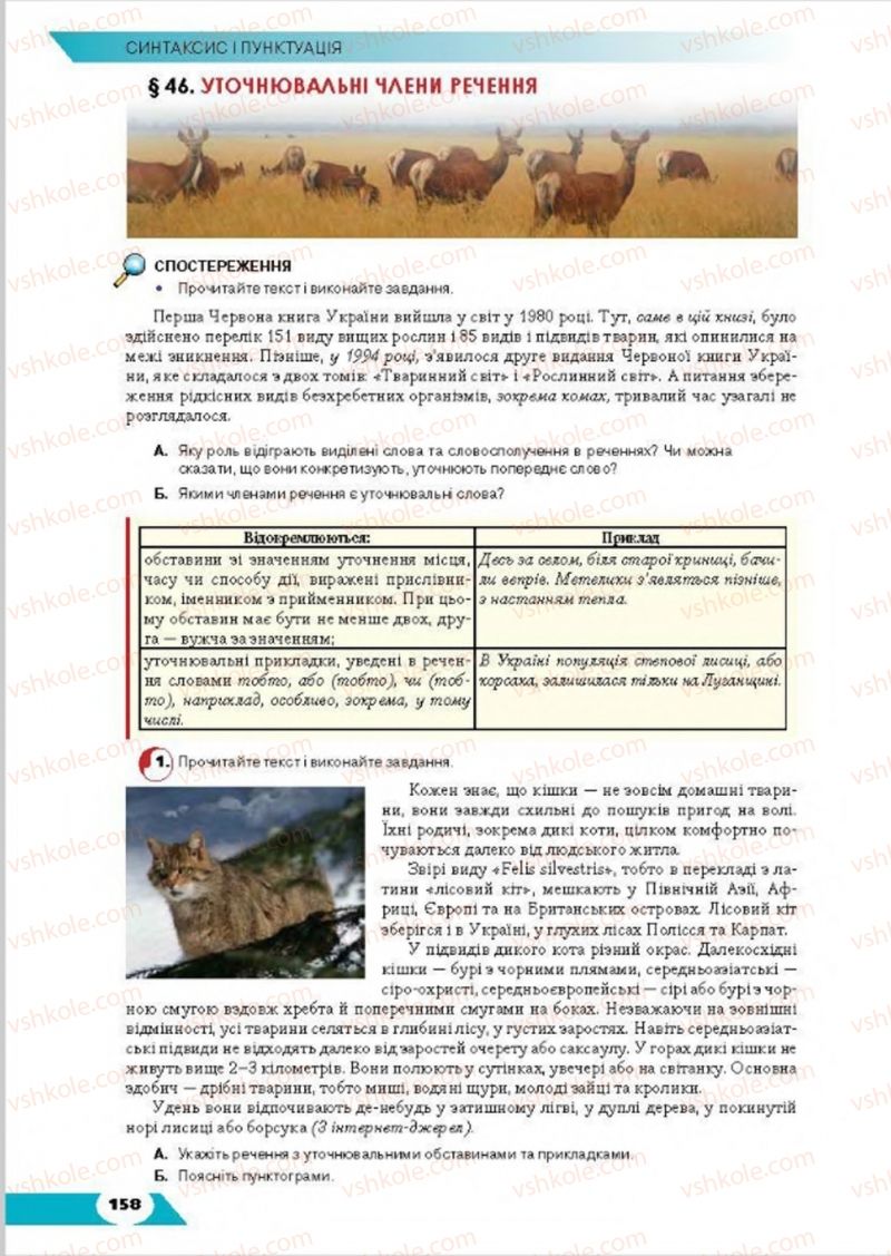 Страница 158 | Підручник Українська мова 8 клас О.М. Авраменко, Т.В. Борисюк, О.М. Почтаренко 2016