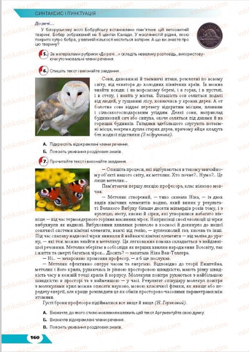 Страница 160 | Підручник Українська мова 8 клас О.М. Авраменко, Т.В. Борисюк, О.М. Почтаренко 2016