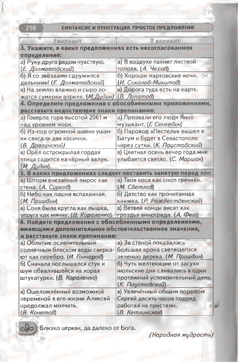 Страница 210 | Підручник Русский язык 8 клас Л.В Давидюк, В.И. Стативка 2008
