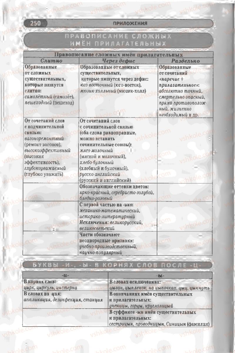 Страница 250 | Підручник Русский язык 8 клас Л.В Давидюк, В.И. Стативка 2008