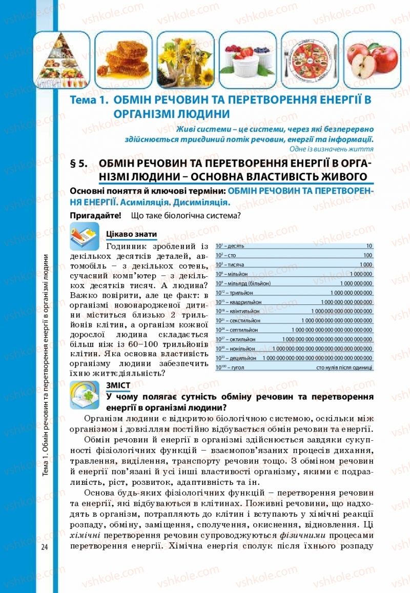 Страница 24 | Підручник Біологія 8 клас В.І. Соболь 2016