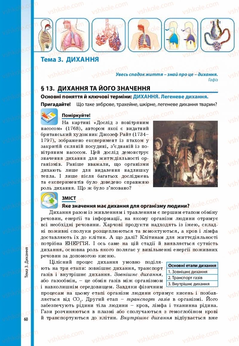 Страница 60 | Підручник Біологія 8 клас В.І. Соболь 2016