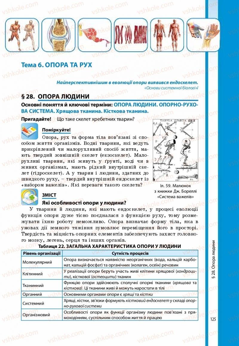 Страница 125 | Підручник Біологія 8 клас В.І. Соболь 2016