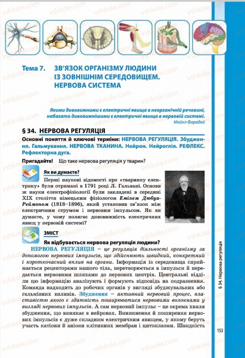 Страница 151 | Підручник Біологія 8 клас В.І. Соболь 2016