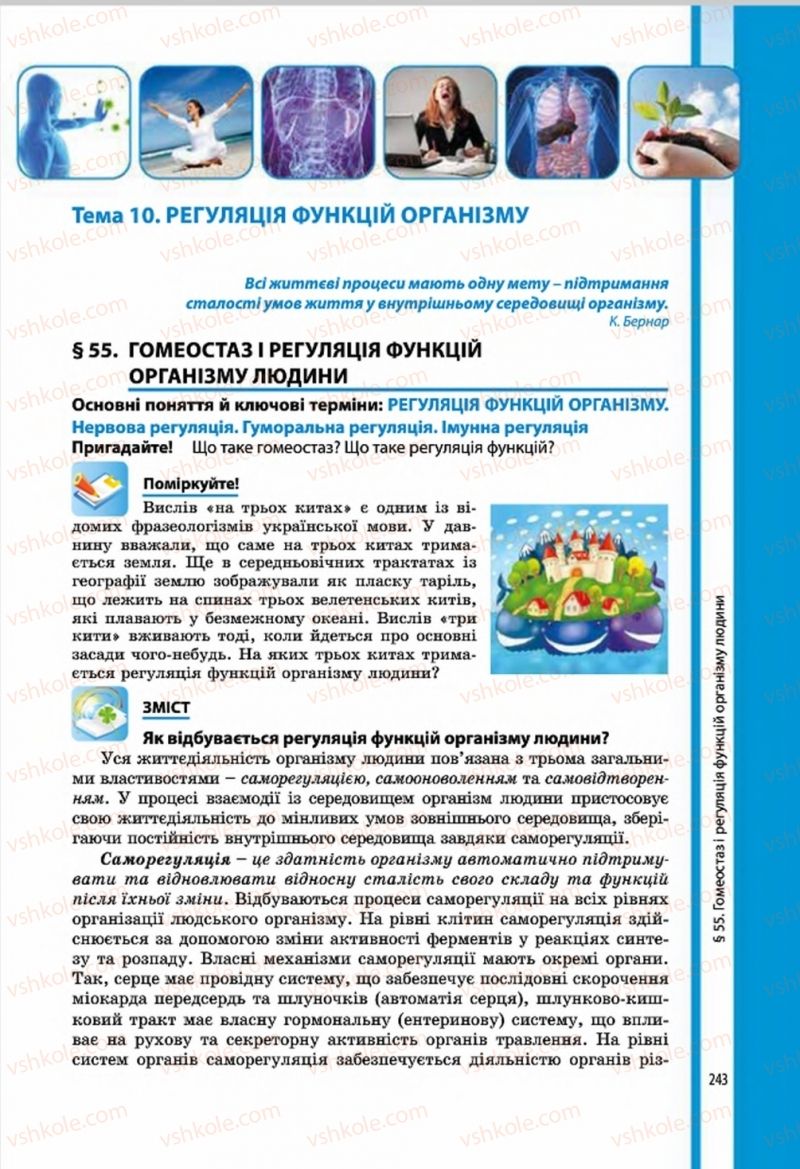 Страница 241 | Підручник Біологія 8 клас В.І. Соболь 2016