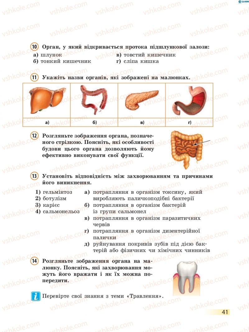 Страница 41 | Підручник Біологія 8 клас К.М. Задорожний 2016