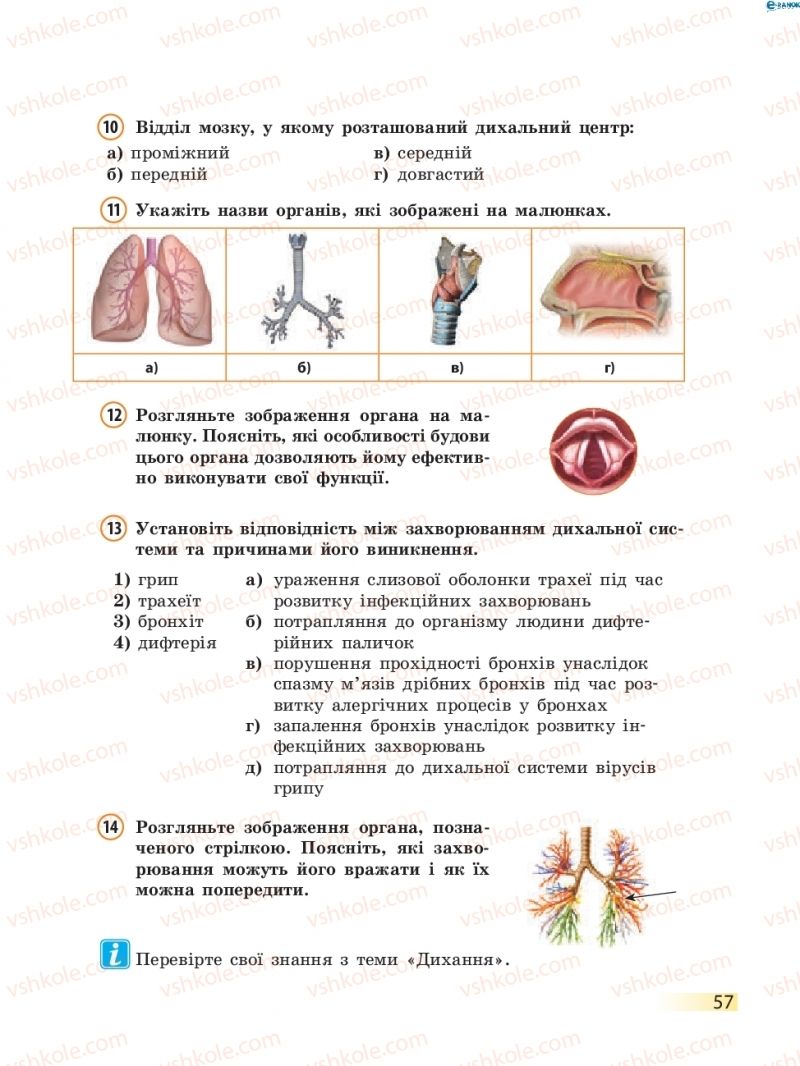 Страница 57 | Підручник Біологія 8 клас К.М. Задорожний 2016