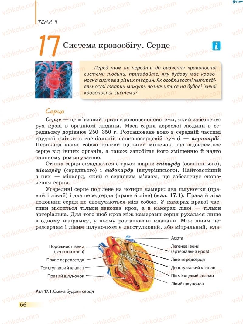 Страница 66 | Підручник Біологія 8 клас К.М. Задорожний 2016