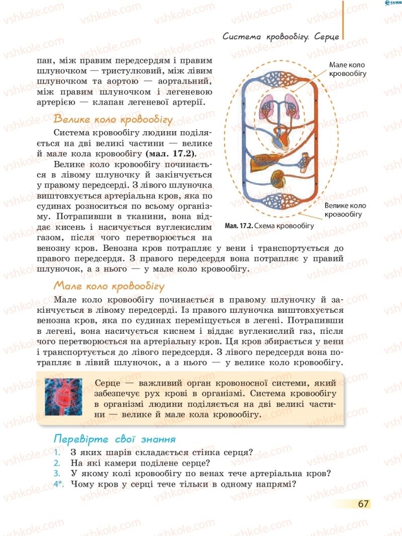 Страница 67 | Підручник Біологія 8 клас К.М. Задорожний 2016