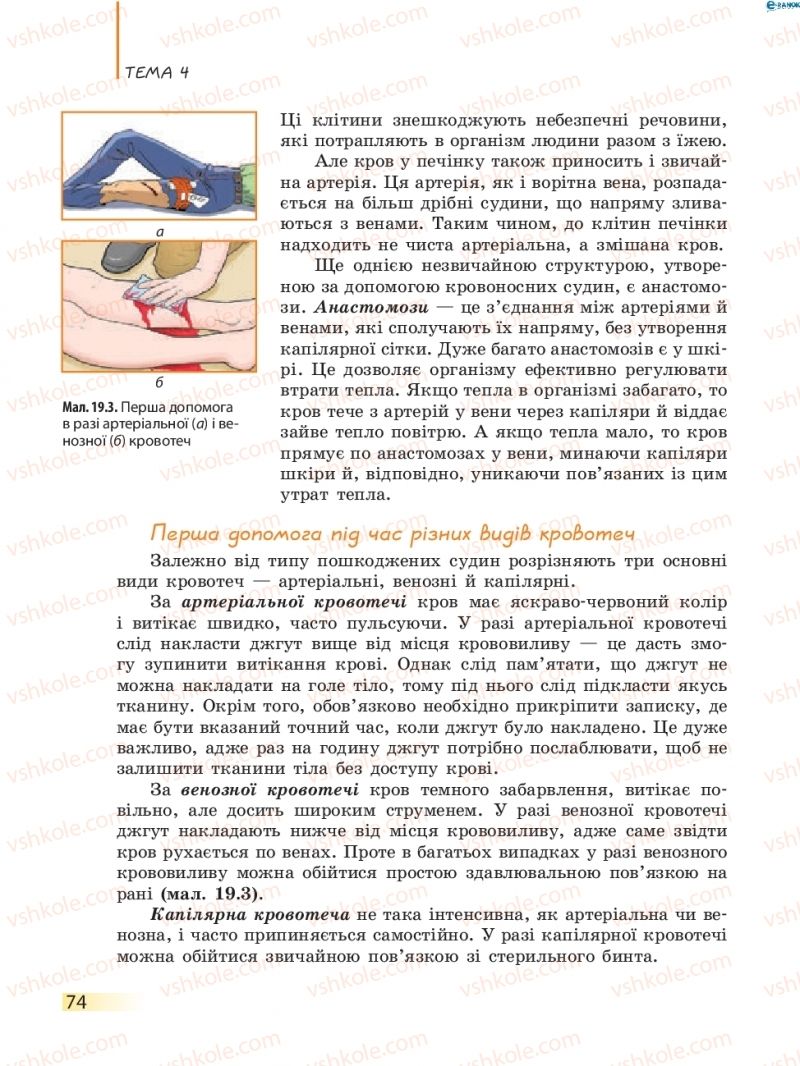 Страница 74 | Підручник Біологія 8 клас К.М. Задорожний 2016