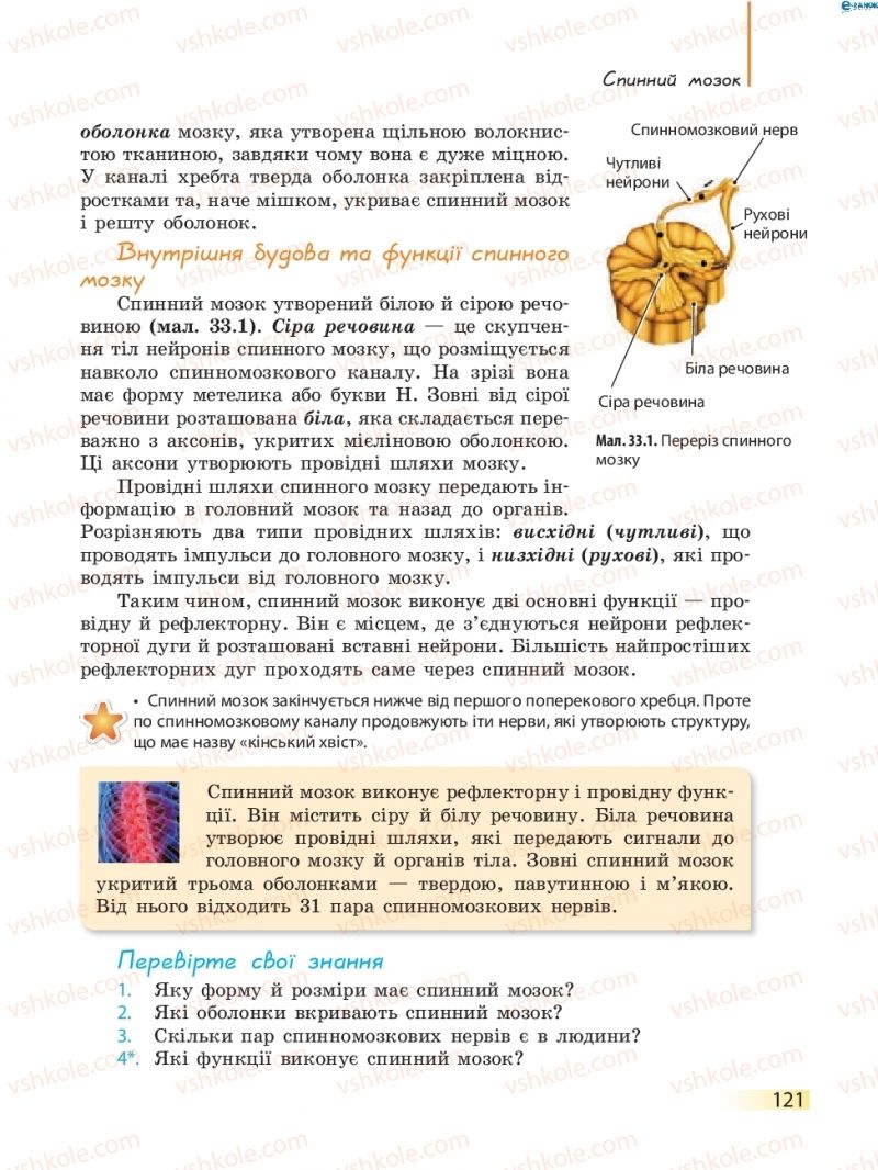 Страница 121 | Підручник Біологія 8 клас К.М. Задорожний 2016