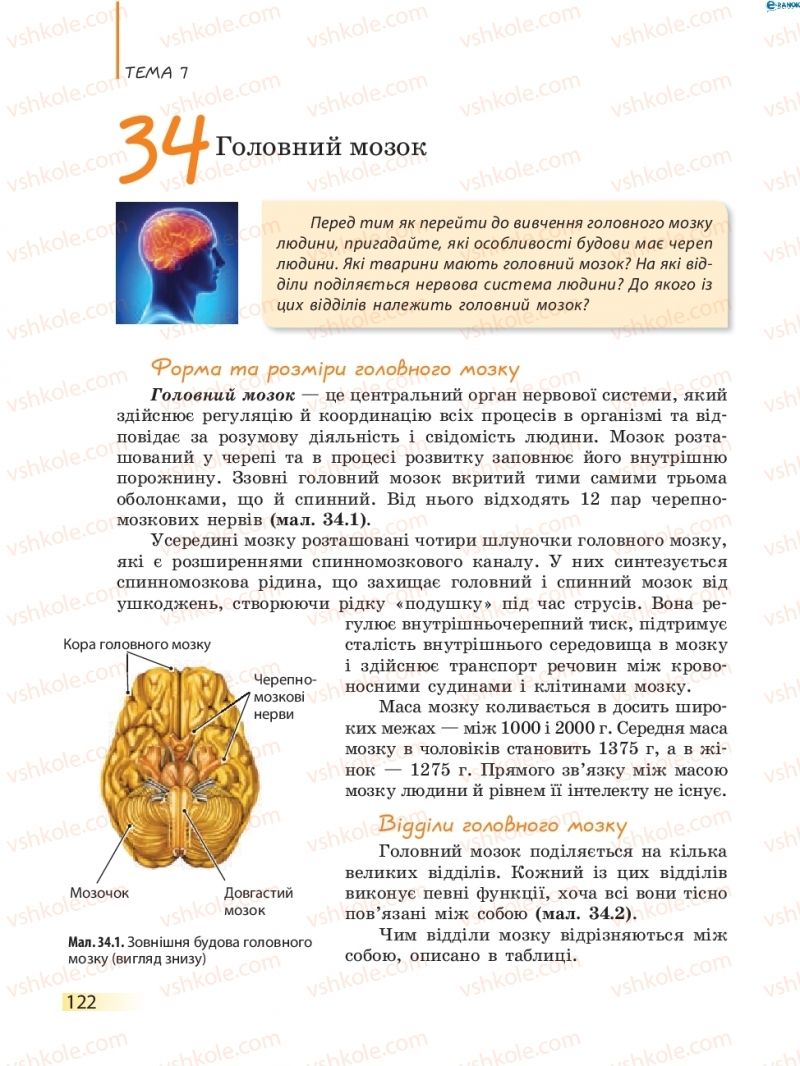 Страница 122 | Підручник Біологія 8 клас К.М. Задорожний 2016
