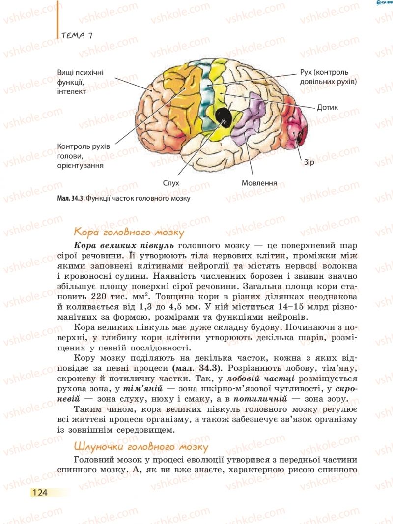 Страница 124 | Підручник Біологія 8 клас К.М. Задорожний 2016