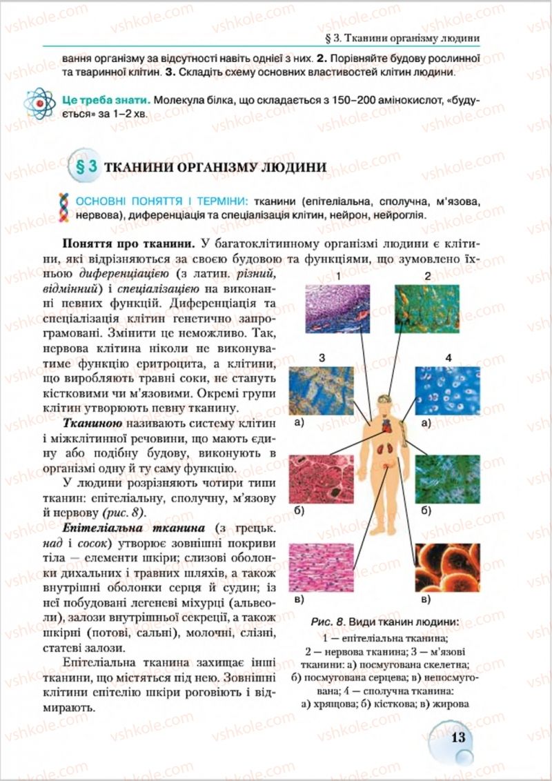 Страница 13 | Підручник Біологія 8 клас С.В. Страшко, Л.Г. Горяна, В.Г. Білик 2016
