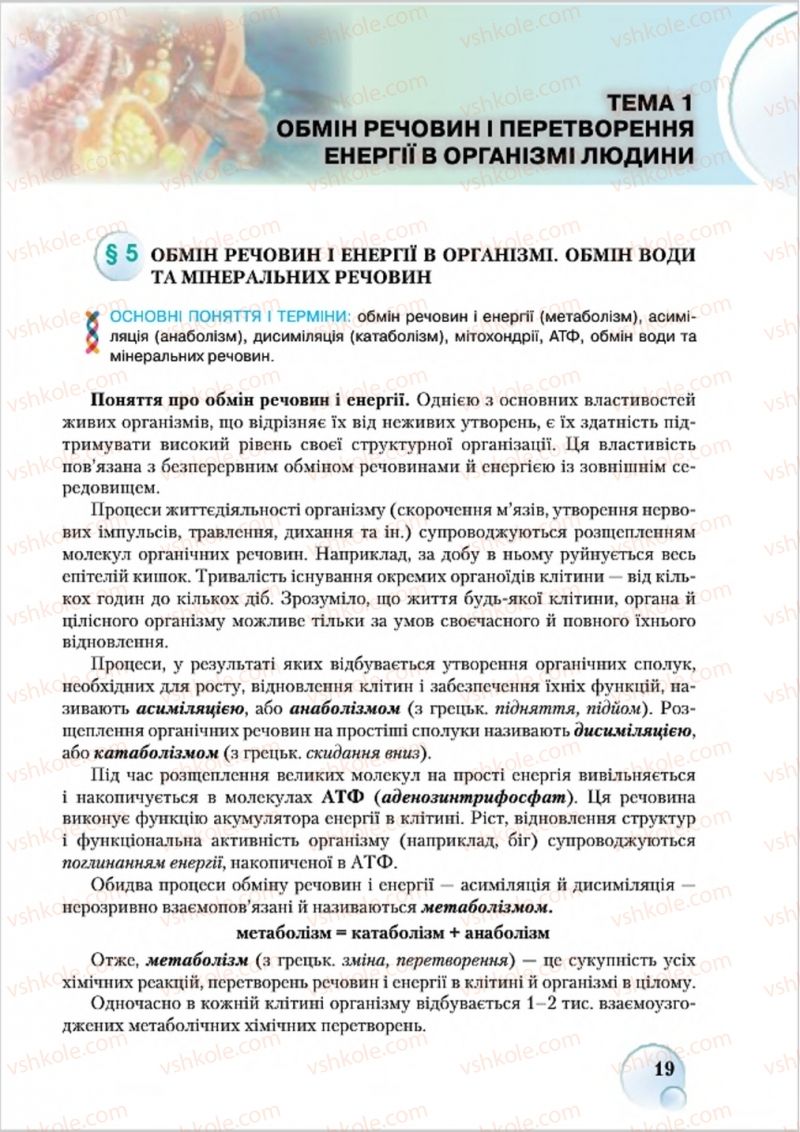 Страница 19 | Підручник Біологія 8 клас С.В. Страшко, Л.Г. Горяна, В.Г. Білик 2016