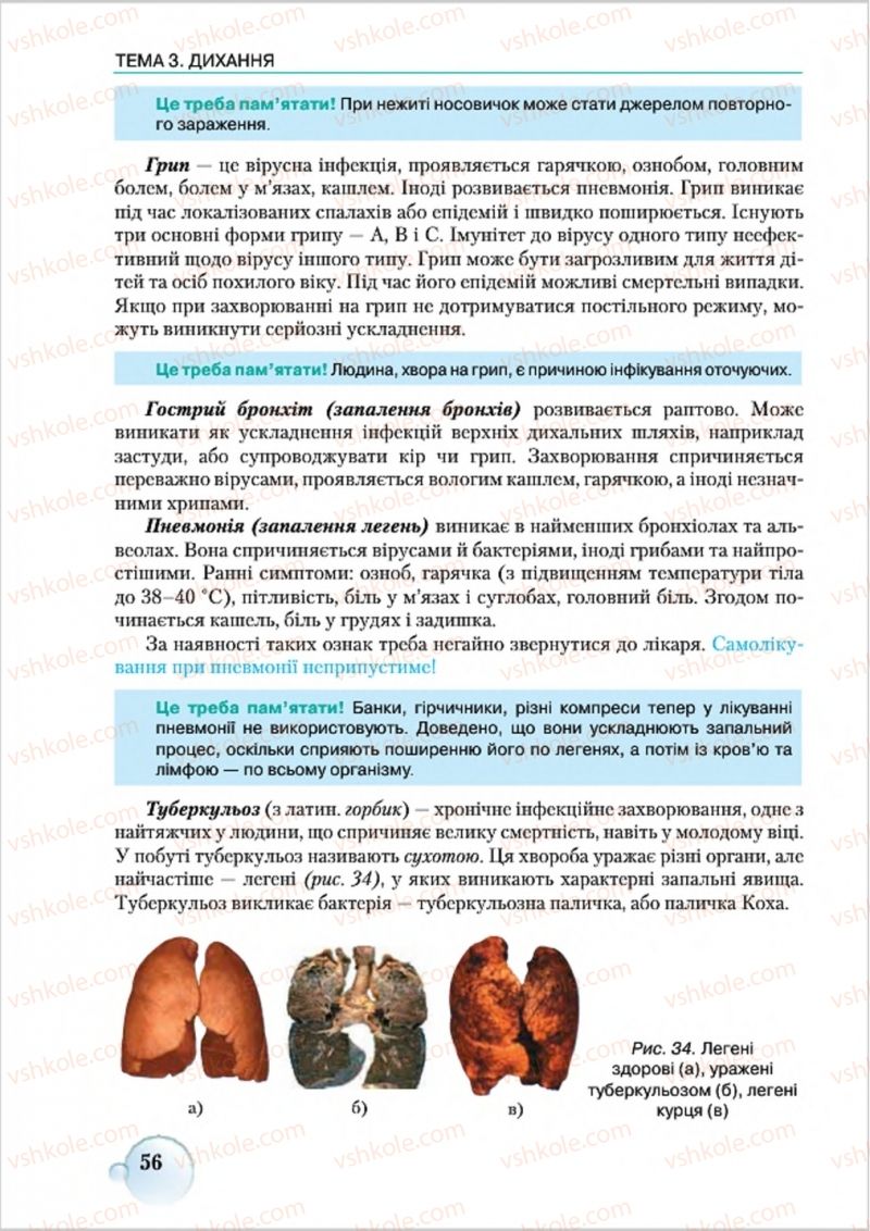 Страница 56 | Підручник Біологія 8 клас С.В. Страшко, Л.Г. Горяна, В.Г. Білик 2016