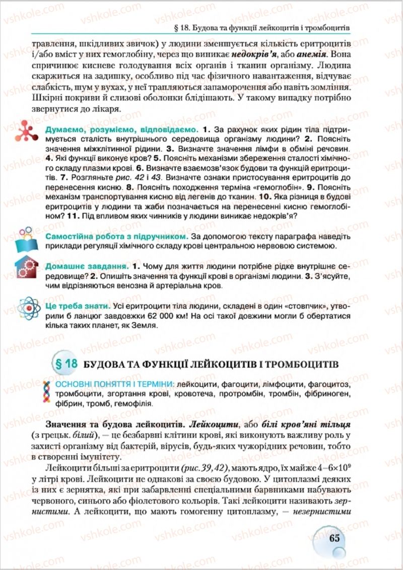 Страница 65 | Підручник Біологія 8 клас С.В. Страшко, Л.Г. Горяна, В.Г. Білик 2016