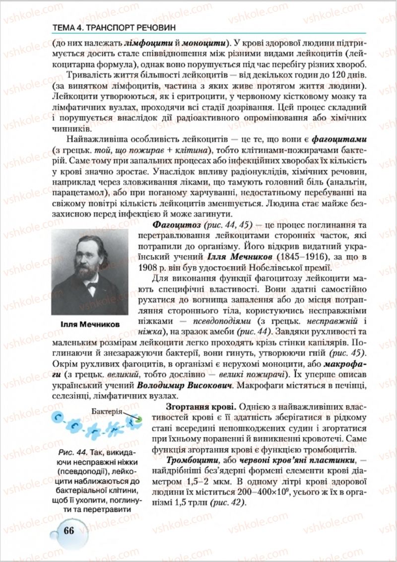 Страница 66 | Підручник Біологія 8 клас С.В. Страшко, Л.Г. Горяна, В.Г. Білик 2016