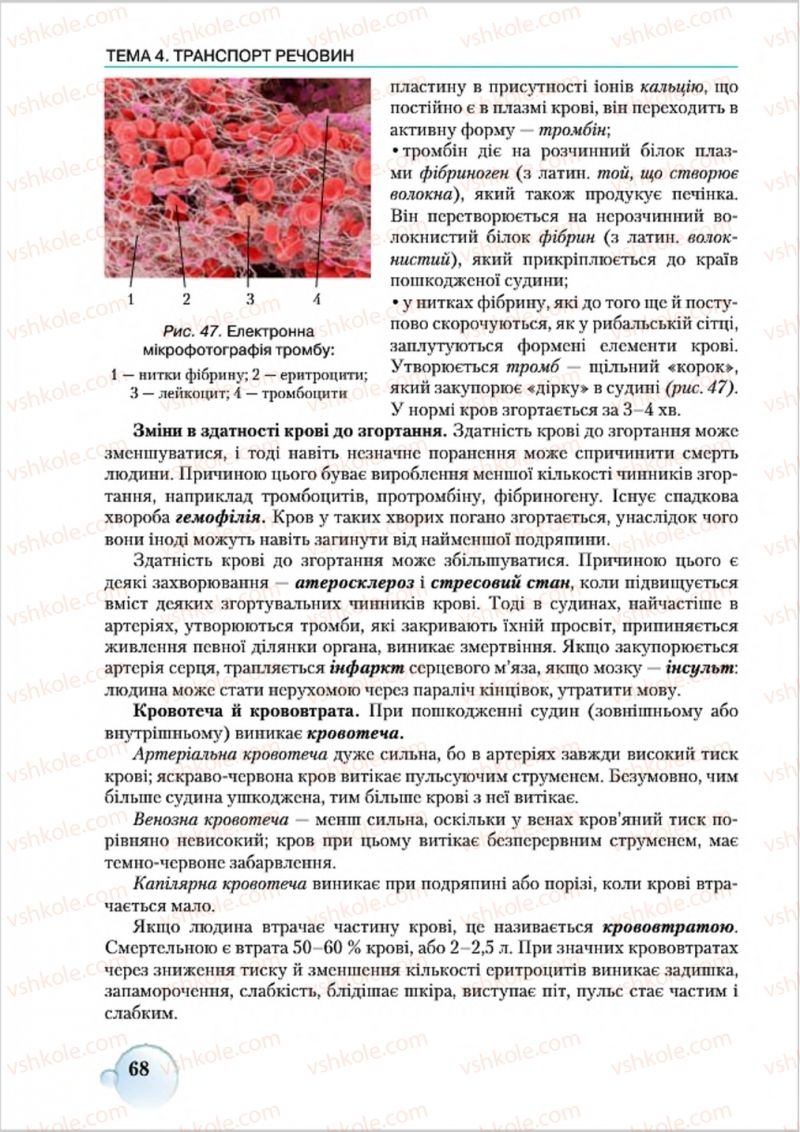 Страница 68 | Підручник Біологія 8 клас С.В. Страшко, Л.Г. Горяна, В.Г. Білик 2016