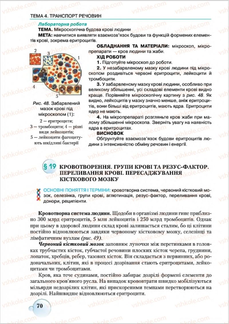 Страница 70 | Підручник Біологія 8 клас С.В. Страшко, Л.Г. Горяна, В.Г. Білик 2016