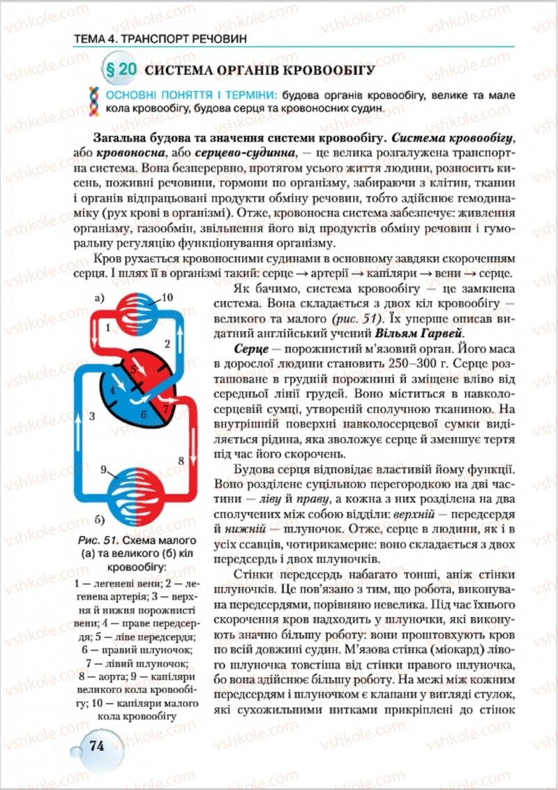 Страница 74 | Підручник Біологія 8 клас С.В. Страшко, Л.Г. Горяна, В.Г. Білик 2016