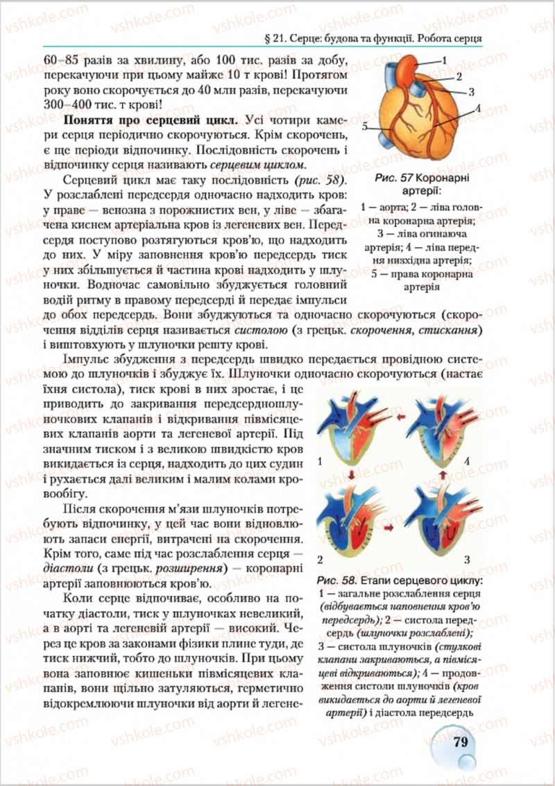 Страница 79 | Підручник Біологія 8 клас С.В. Страшко, Л.Г. Горяна, В.Г. Білик 2016