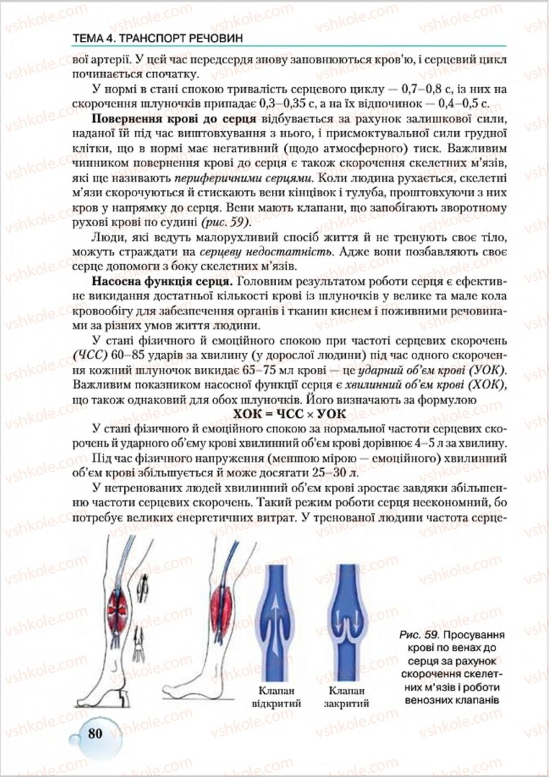 Страница 80 | Підручник Біологія 8 клас С.В. Страшко, Л.Г. Горяна, В.Г. Білик 2016