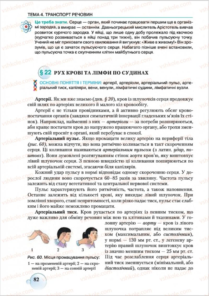 Страница 82 | Підручник Біологія 8 клас С.В. Страшко, Л.Г. Горяна, В.Г. Білик 2016