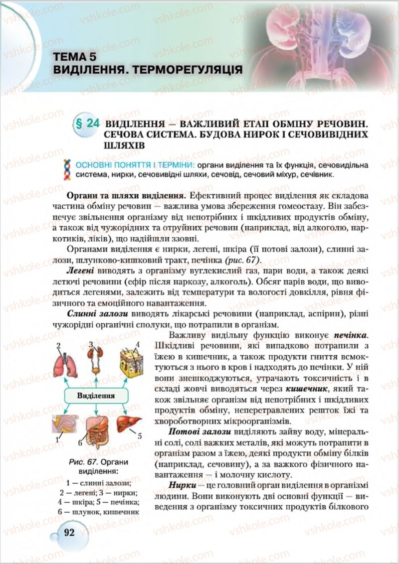 Страница 92 | Підручник Біологія 8 клас С.В. Страшко, Л.Г. Горяна, В.Г. Білик 2016