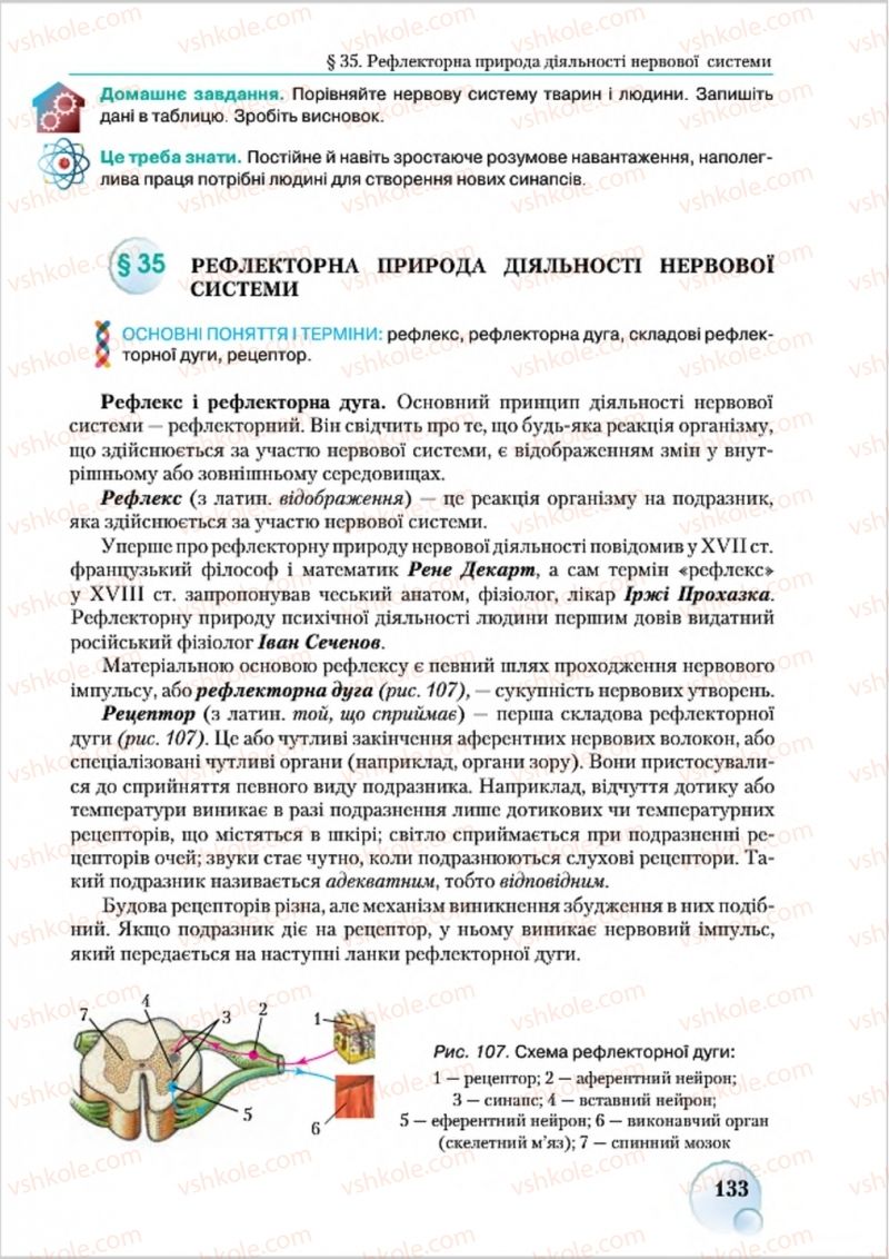 Страница 133 | Підручник Біологія 8 клас С.В. Страшко, Л.Г. Горяна, В.Г. Білик 2016
