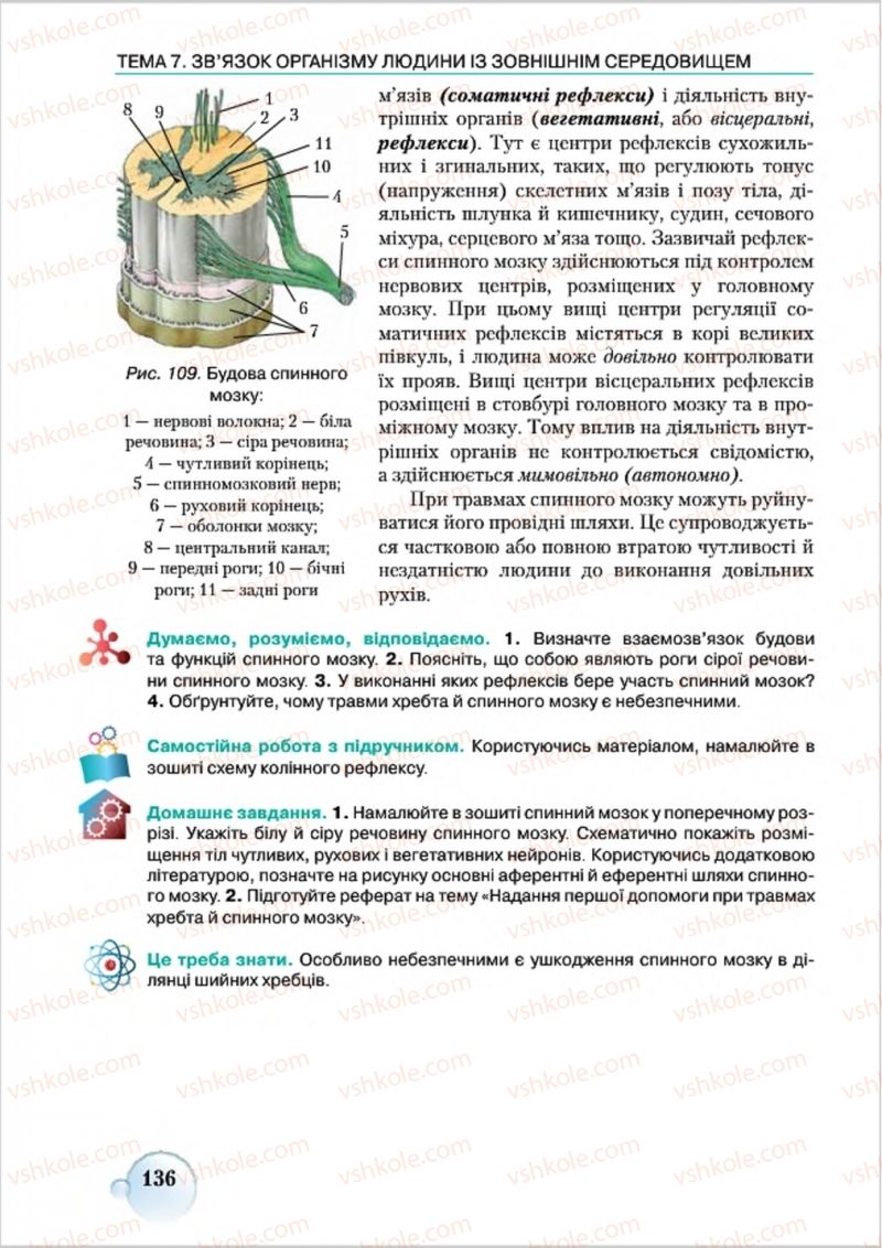 Страница 136 | Підручник Біологія 8 клас С.В. Страшко, Л.Г. Горяна, В.Г. Білик 2016