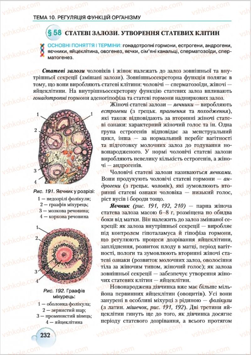 Страница 232 | Підручник Біологія 8 клас С.В. Страшко, Л.Г. Горяна, В.Г. Білик 2016