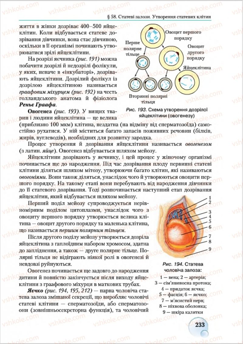 Страница 233 | Підручник Біологія 8 клас С.В. Страшко, Л.Г. Горяна, В.Г. Білик 2016