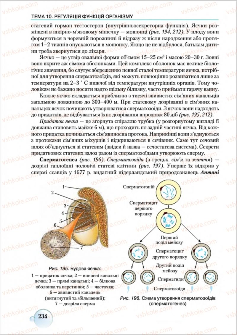 Страница 234 | Підручник Біологія 8 клас С.В. Страшко, Л.Г. Горяна, В.Г. Білик 2016