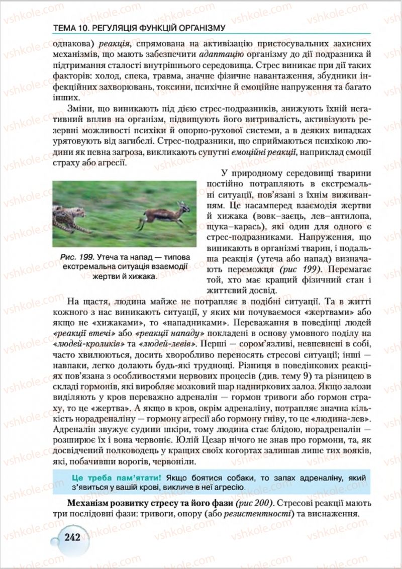 Страница 242 | Підручник Біологія 8 клас С.В. Страшко, Л.Г. Горяна, В.Г. Білик 2016