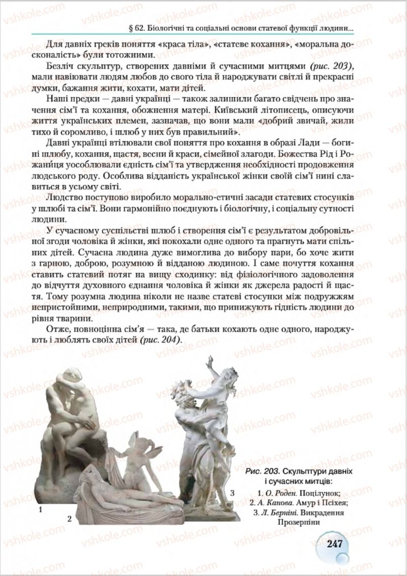 Страница 247 | Підручник Біологія 8 клас С.В. Страшко, Л.Г. Горяна, В.Г. Білик 2016