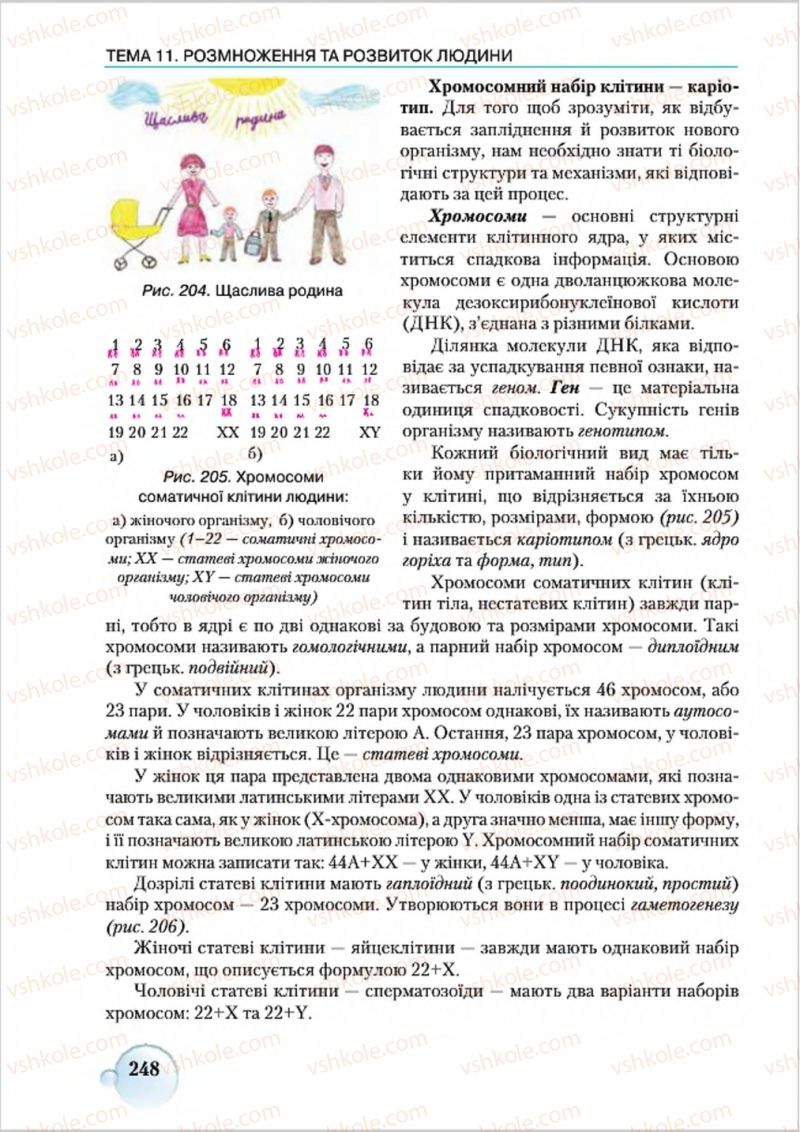 Страница 248 | Підручник Біологія 8 клас С.В. Страшко, Л.Г. Горяна, В.Г. Білик 2016