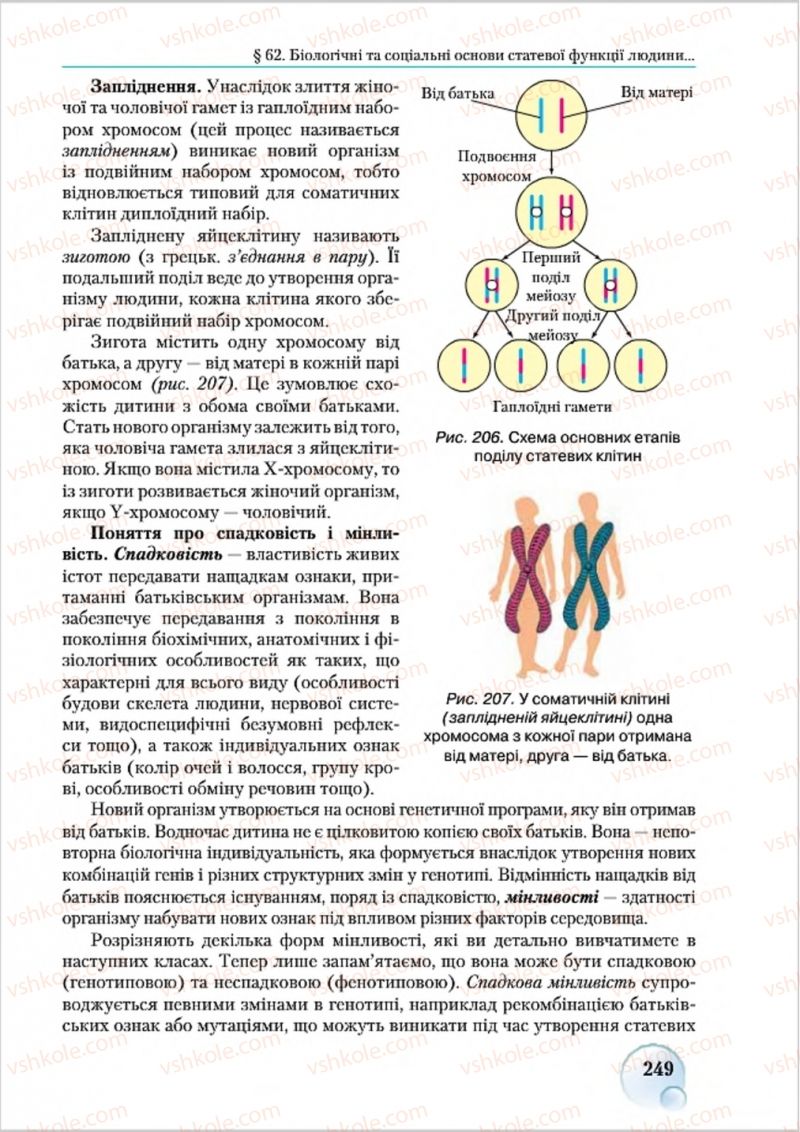 Страница 249 | Підручник Біологія 8 клас С.В. Страшко, Л.Г. Горяна, В.Г. Білик 2016