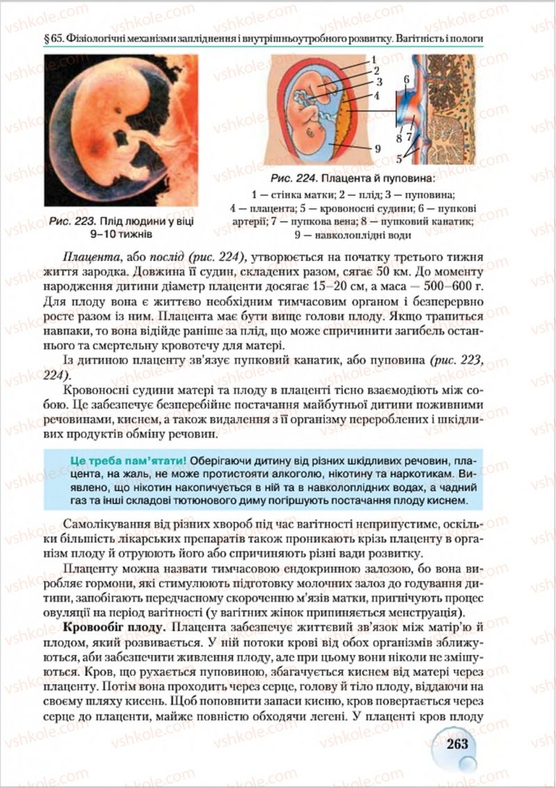 Страница 263 | Підручник Біологія 8 клас С.В. Страшко, Л.Г. Горяна, В.Г. Білик 2016