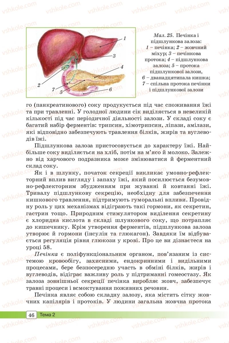 Страница 46 | Підручник Біологія 8 клас О.В. Костильов, С.П. Яценко 2016