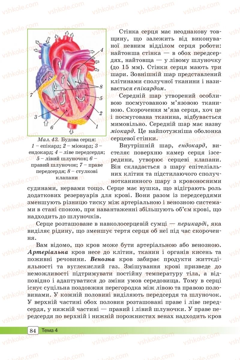 Страница 84 | Підручник Біологія 8 клас О.В. Костильов, С.П. Яценко 2016